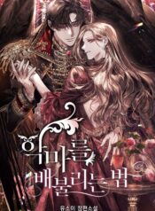 a4ef23235858b4e02e5447a6a6d84448f110872d_1080_1616_498017