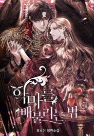 a4ef23235858b4e02e5447a6a6d84448f110872d_1080_1616_498017