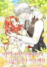 22b54ee5529b6c988e57955daa6664f0293606a6_720_1030_375441