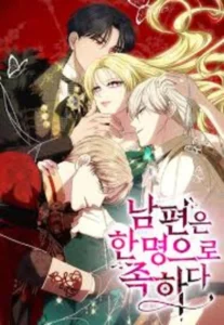 ONE HUSBAND IS ENOUGH