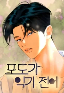 Before the Grapes Ripen